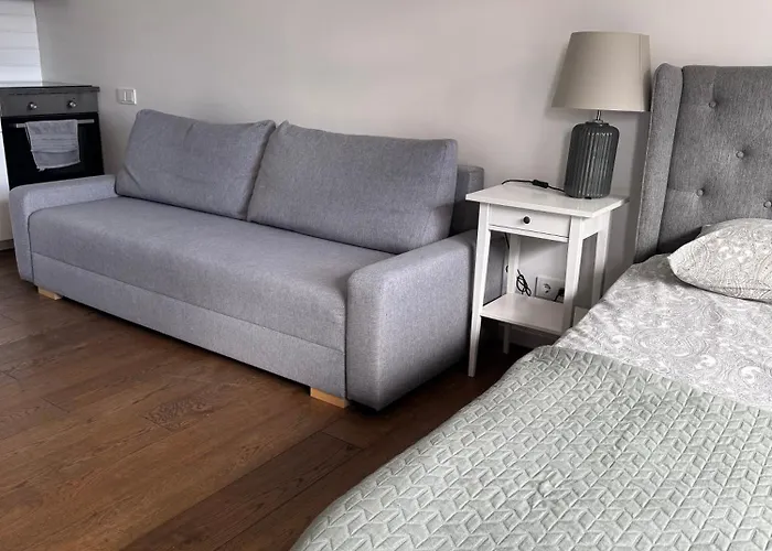 Five Star Downtown Apartment